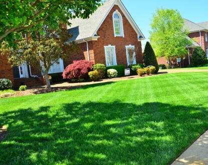 <p style="font-family: 'Poppins', sans-serif; font-weight: 700; font-size:24px;">LAWN CARE</p>